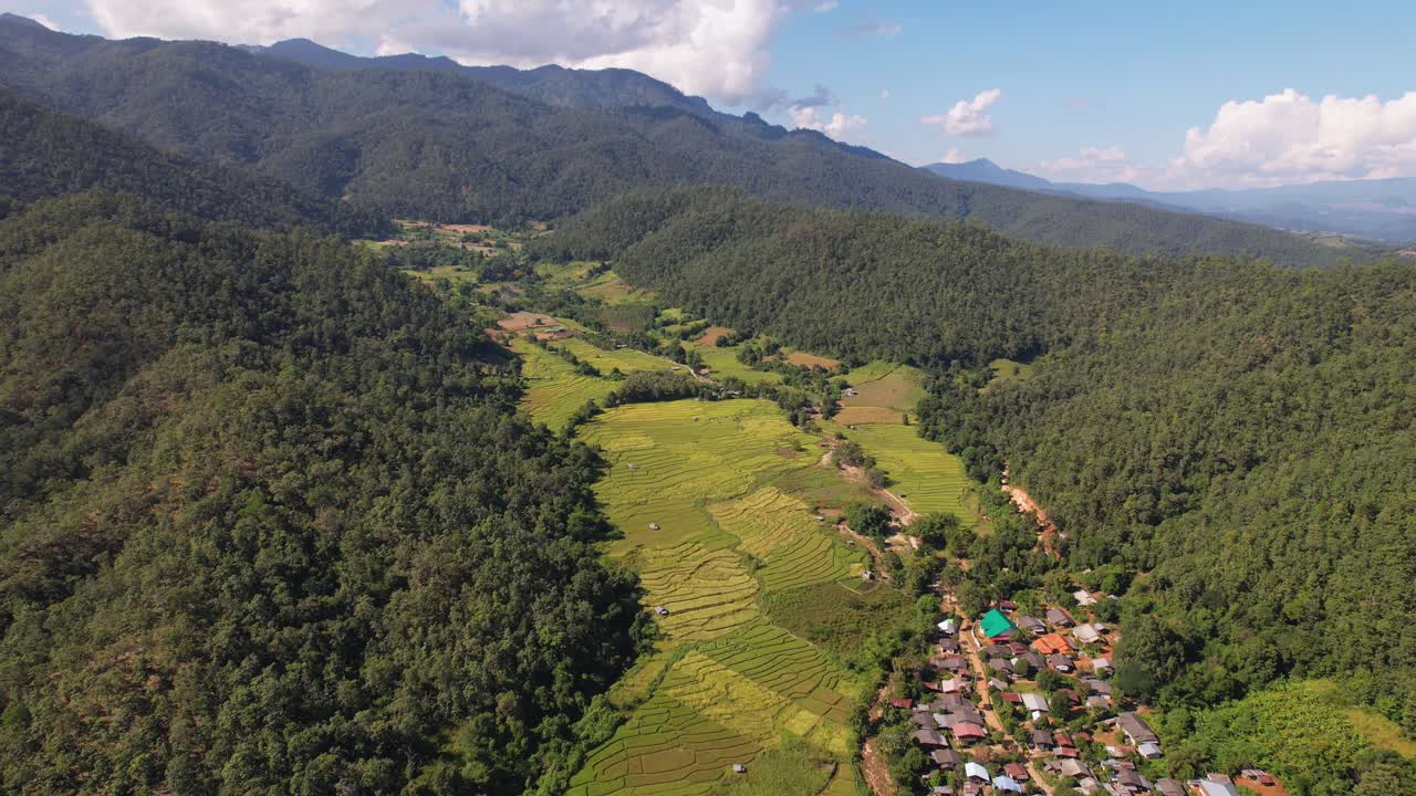 imagen de un dron de 4k volando sobre los vastos campos de arroz que rodean el puente de bambú en pai, norte de tailandia