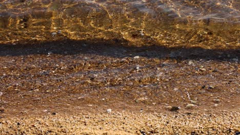 waves gently lapping on sandy brighton beach