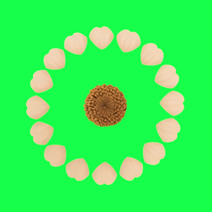 Digital Animation of a Flower Petal Disassembly and Reassembly