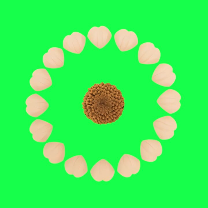 Digital Animation of a Flower Petal Disassembly and Reassembly