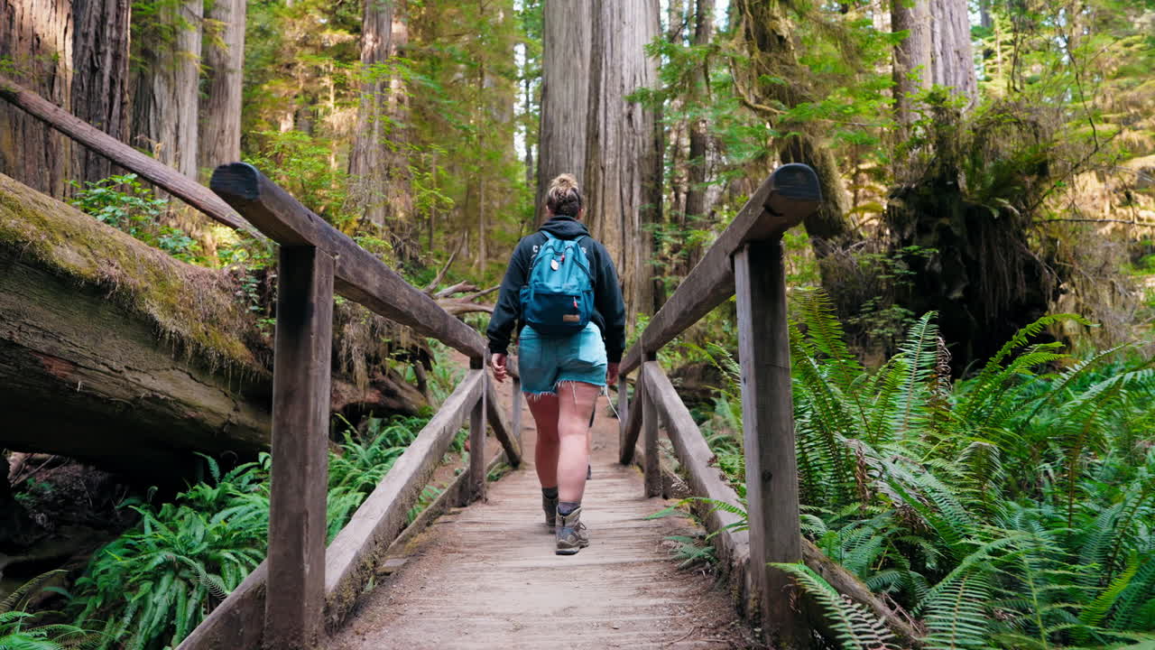 Crossing a wooden bridge family walks together in dense woodland