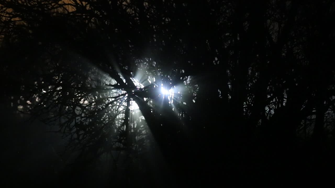 los coches crean efectos de luz únicos en la noche