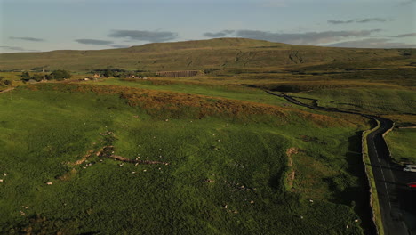 establishing drone shot of field of sheep towards whernside at golden hour