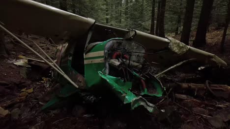 Agua-Que-Fluye-Bajo-Un-Avión-Hundido-En-Un-Bosque-En-La-Región-De-Los-Alpes-De-Auvernia