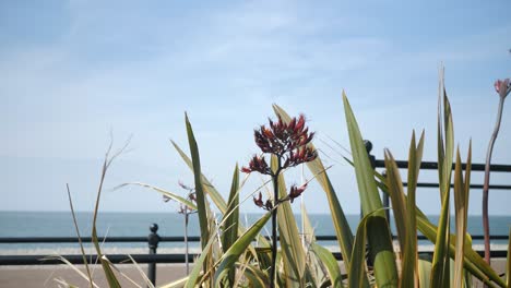 Wespe-Auf-Rosa-Blume-Im-Wind