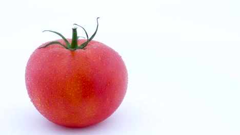 one whole big red tomato with water drops. slowly rotating on the turntable. isolated on the white background. left half of the frame. close-up. macro.