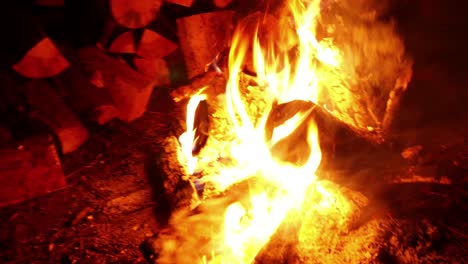 midnight bonfire or campfire 4k