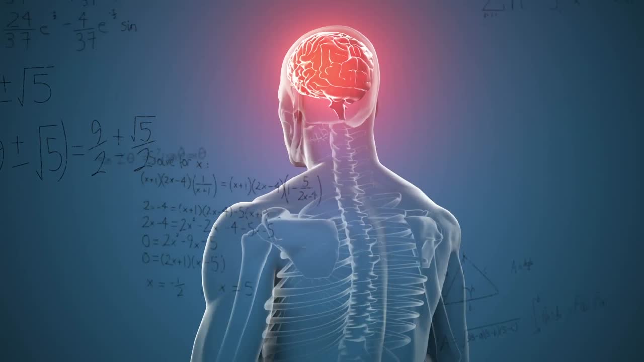 파란색 배경에 회전하는 인체 모델에 대한 수학적 방정식의 애니메이션