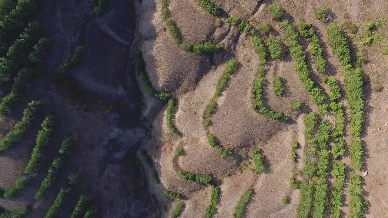 vista aérea de un terreno seco y ondulado con vegetación