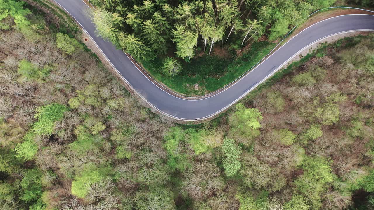 camino sinuoso a través de forrest eifel alemania