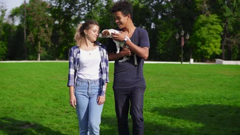 Two-multiracial-friends-walking-on-the-green-grass-in-park-enjoying-the-day-while-holding-cute-little-jack-russell-terrier-and