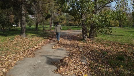 walking man in forest autumn