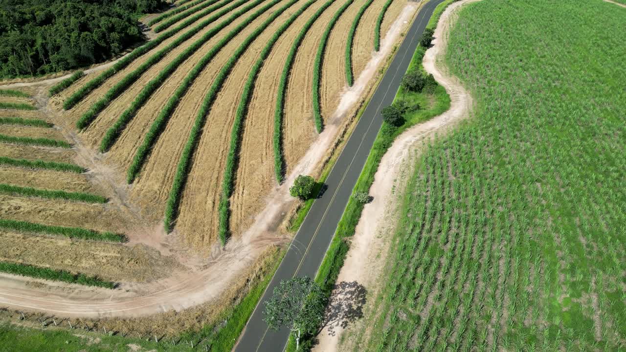 농촌 풍경 시골에서 국가 현장에서 국가로