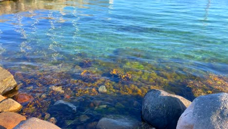 transparentes wasser ganz in der nähe des landes