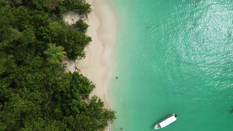 Insel-Bastimentos,-Die-Zapatilla-Cays,-Panama