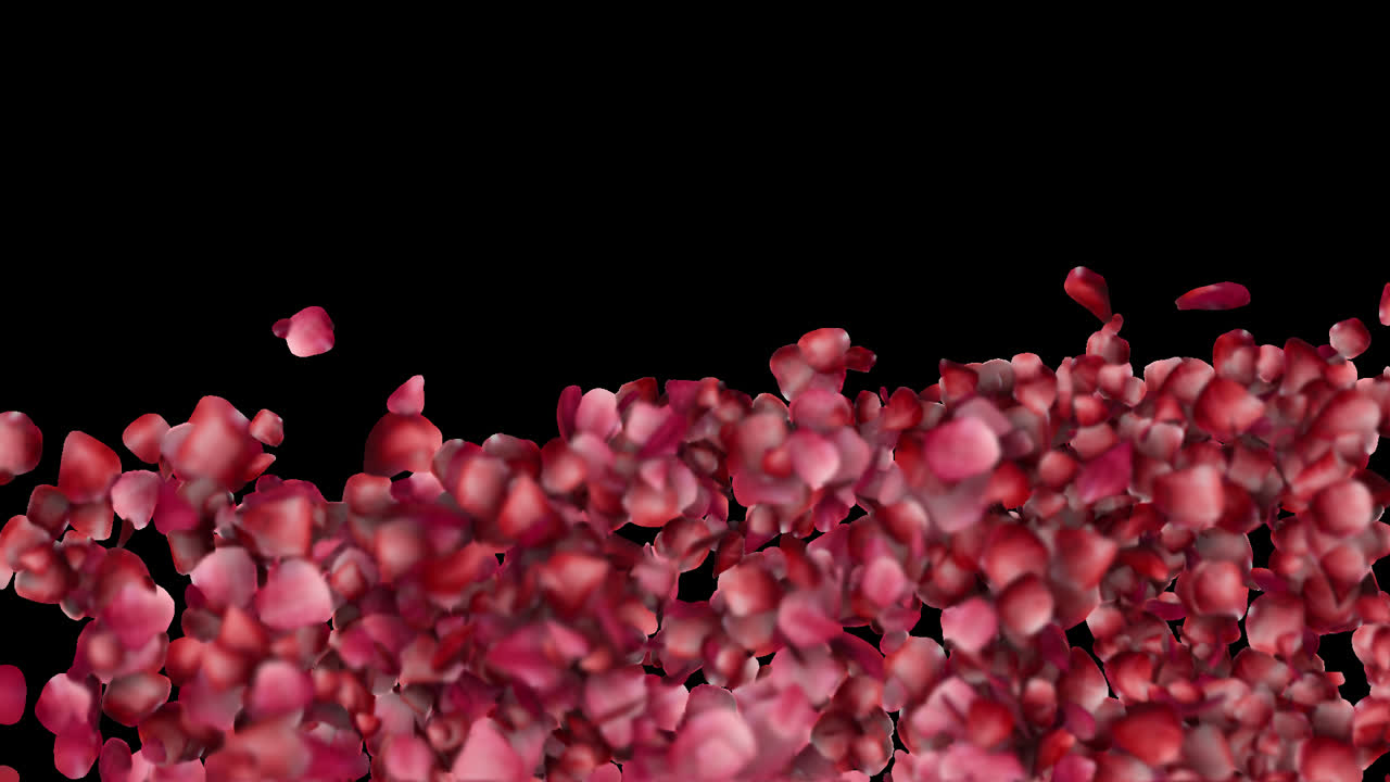Romantic Floral Sweep Reveal Motion Graphics