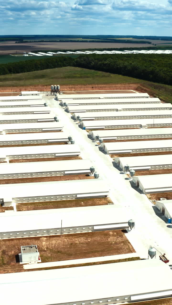 Poultry farm industrial. Complex of white buildings poultry farm