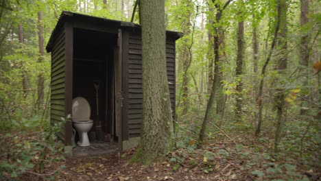 shed with a toilet in the middle of the woods