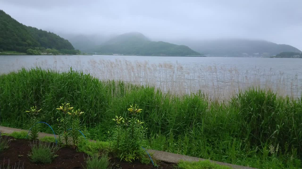 일본 의 후지 산 에 있는 카와구치코 호수 - 유명한 후지야마