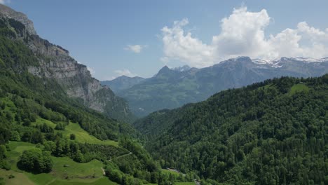 Forest-and-landscape-on-the-shore-of-lake-Klöntalersee,-Glarus-Canton,-Switzerland