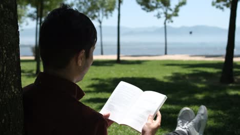 Studying-under-tree