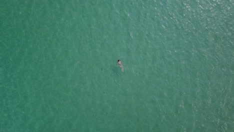 una mujer impresionante en bikini nada lentamente a través de las aguas claras y turquesas del mar egeo.