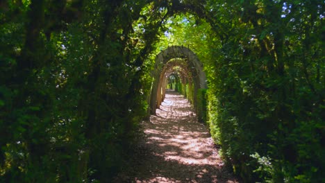 shot of sun dappled pathway winding through lush green archway formed by dense foliage
