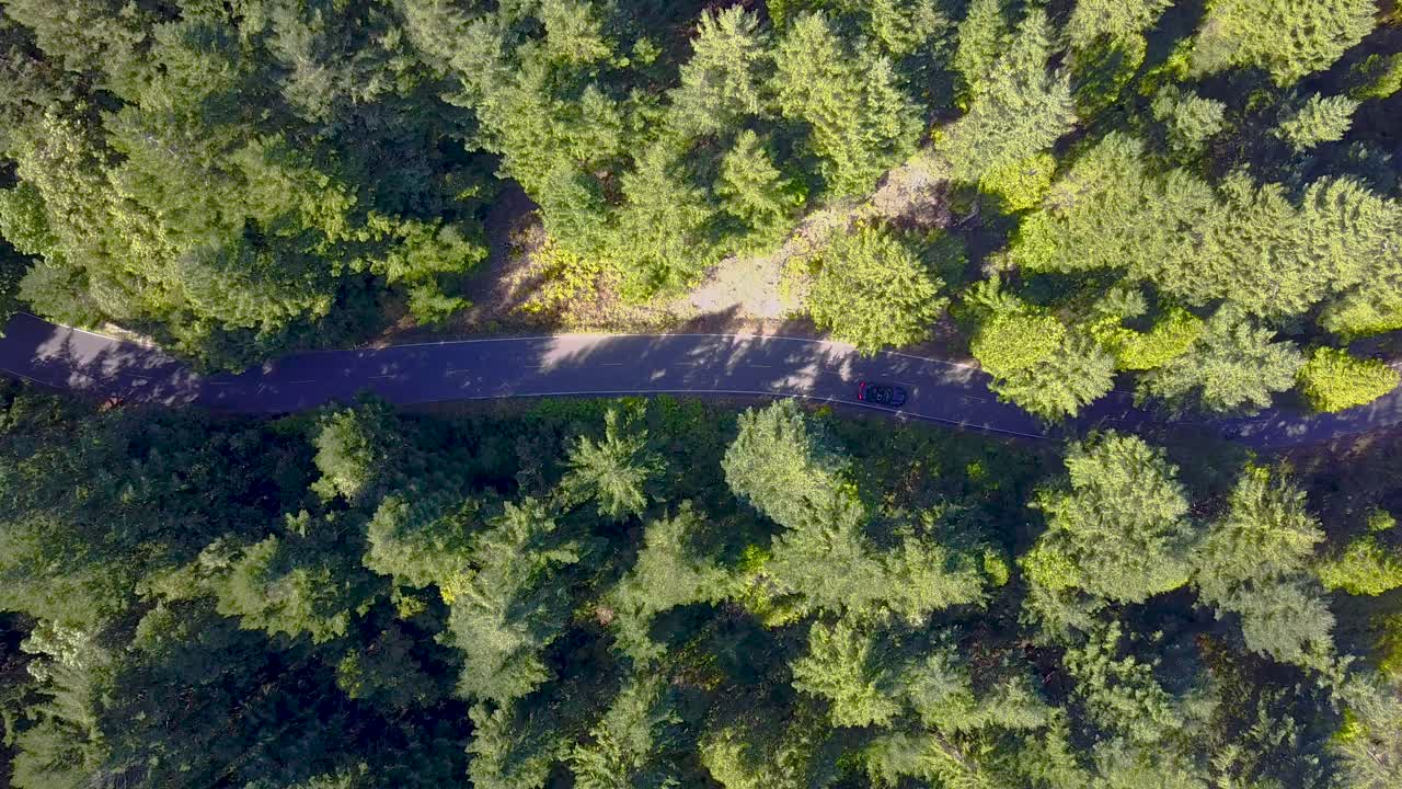 An straight down aerial view of a car moving through a lush forest.