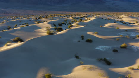 Interminables-Dunas-De-Arena-De-Mezquite-En-California-Con-Cordillera-En-Segundo-Plano