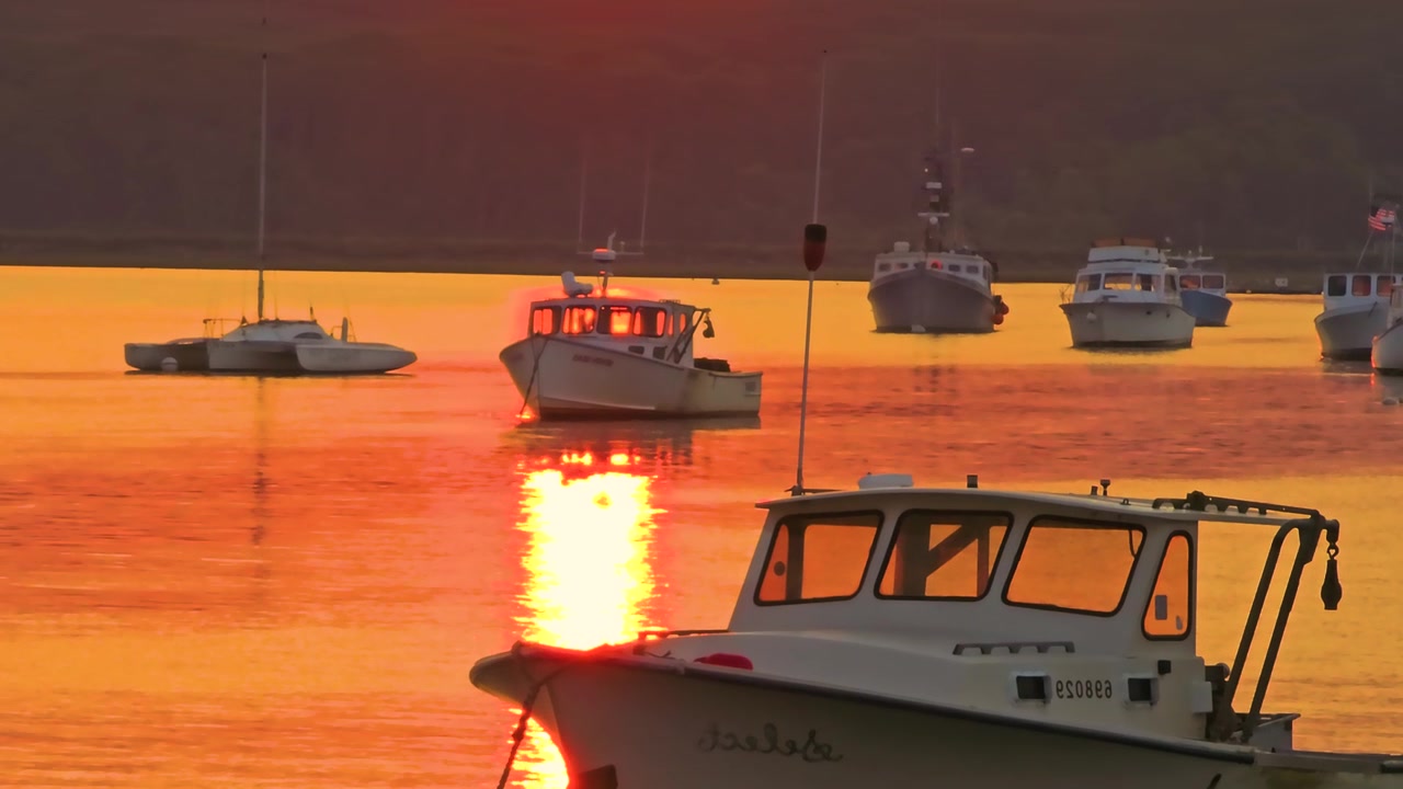 Gylden solnedgang reflekteres hen over en rolig havn fyldt med hummerbåde og sejlbåde, hvilket skaber en dramatisk orange glød over fredfyldt kystvand i New England.