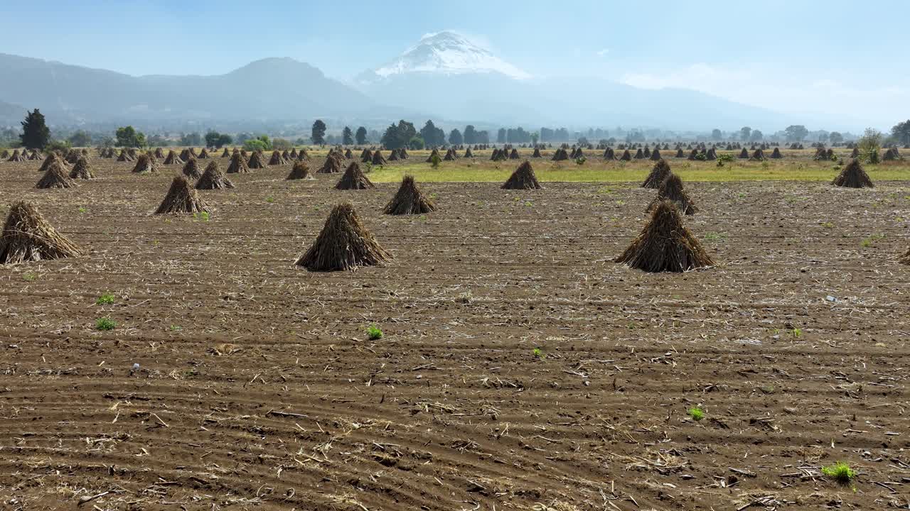 Drone footage of the most common corn field system in Mexico, with a famous Mexican mountain in the background. The Popocatepetl