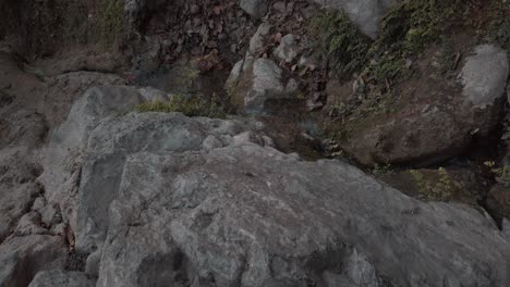 rocky stream in nature
