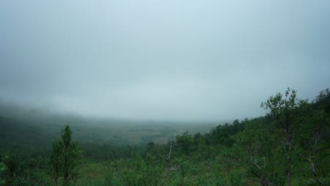 Verdes-Colinas-Montañosas-Y-Campos-Envueltos-Por-Una-Espesa-Niebla-Temprano-En-La-Mañana