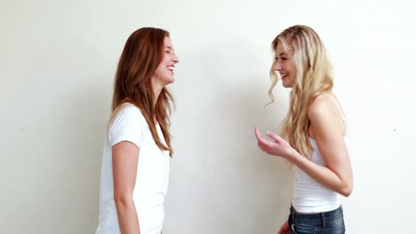 Two-smiling-women-talking-together
