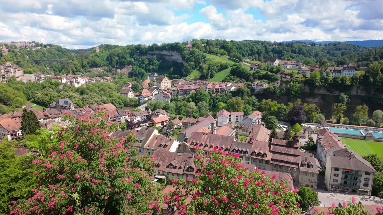 Vista panoramica della storica città svizzera di Friburgo in una valle verde, tetti in tegole rosse, colline, cielo azzurro nuvoloso, vista da un punto panoramico elevato con fiori rosa