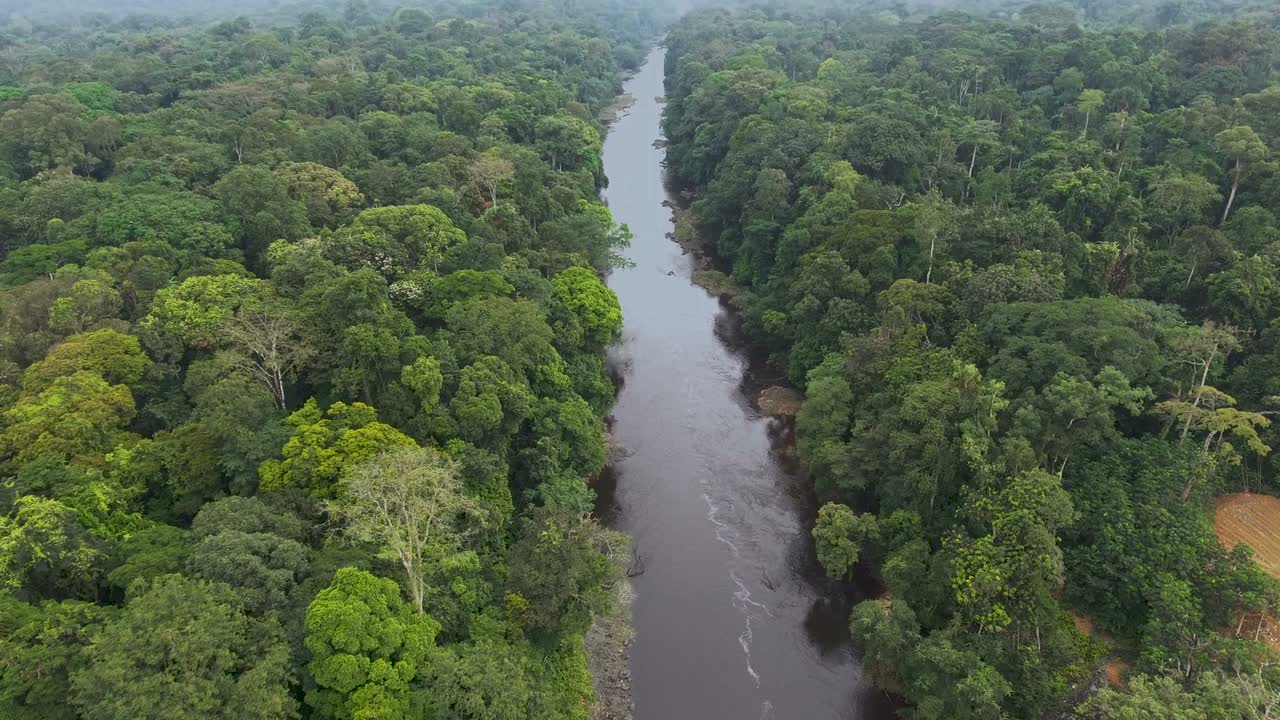 vista aérea. niebla sobre el río en la selva tropical de áfrica. paisaje africano.