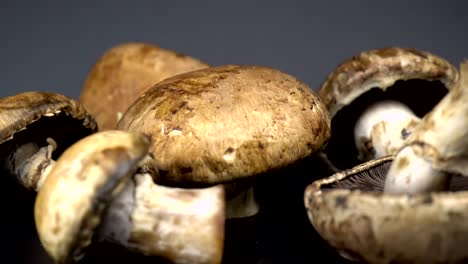 mushrooms turning on black backround