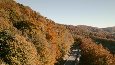 Imágenes-Aéreas-De-Revelación-Lenta-De-Un-Automóvil-Y-Un-Ciclista-En-Una-Carretera-Escénica-En-Un-Bosque-De-Colores-Otoñales-En-Un-Paisaje-Pintoresco