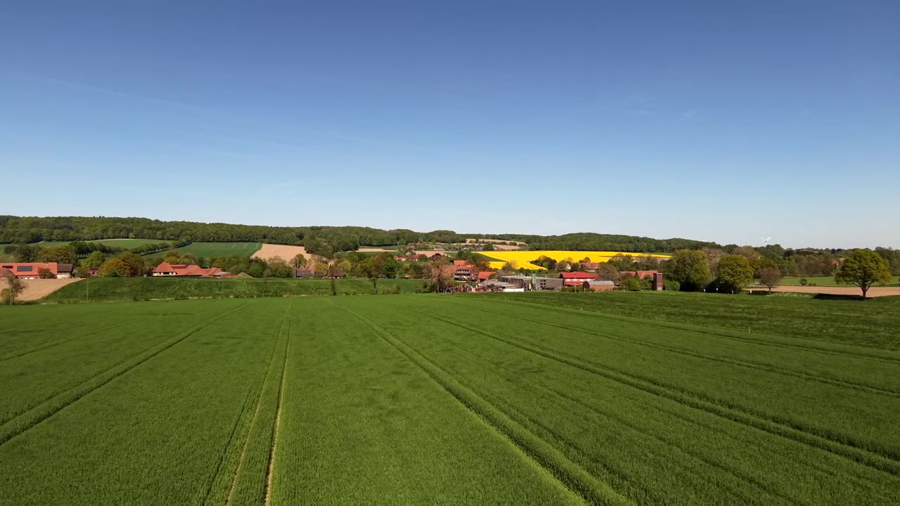 Campagna verde con campi coltivati e distese di colza di un giallo brillante che circondano un piccolo villaggio rurale nella campagna europea sotto un cielo azzurro e limpido in primavera. Ripresa aerea in sorvolo.
