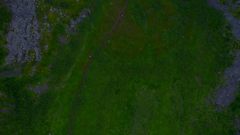 Revealing-shot-of-the-hiking-trail-to-Hesten-with-the-Peak-on-Senja-during-late-evening,-midnight-sun-season