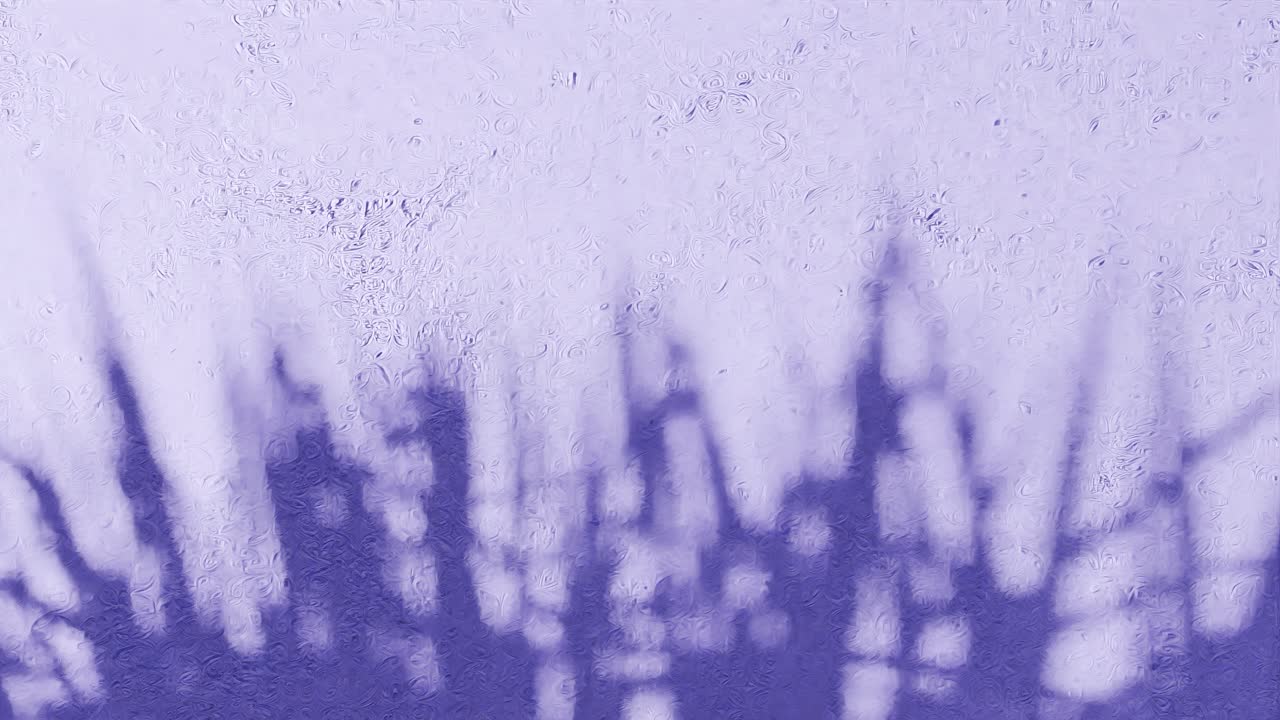 Grass blades shadow on textured purple wall