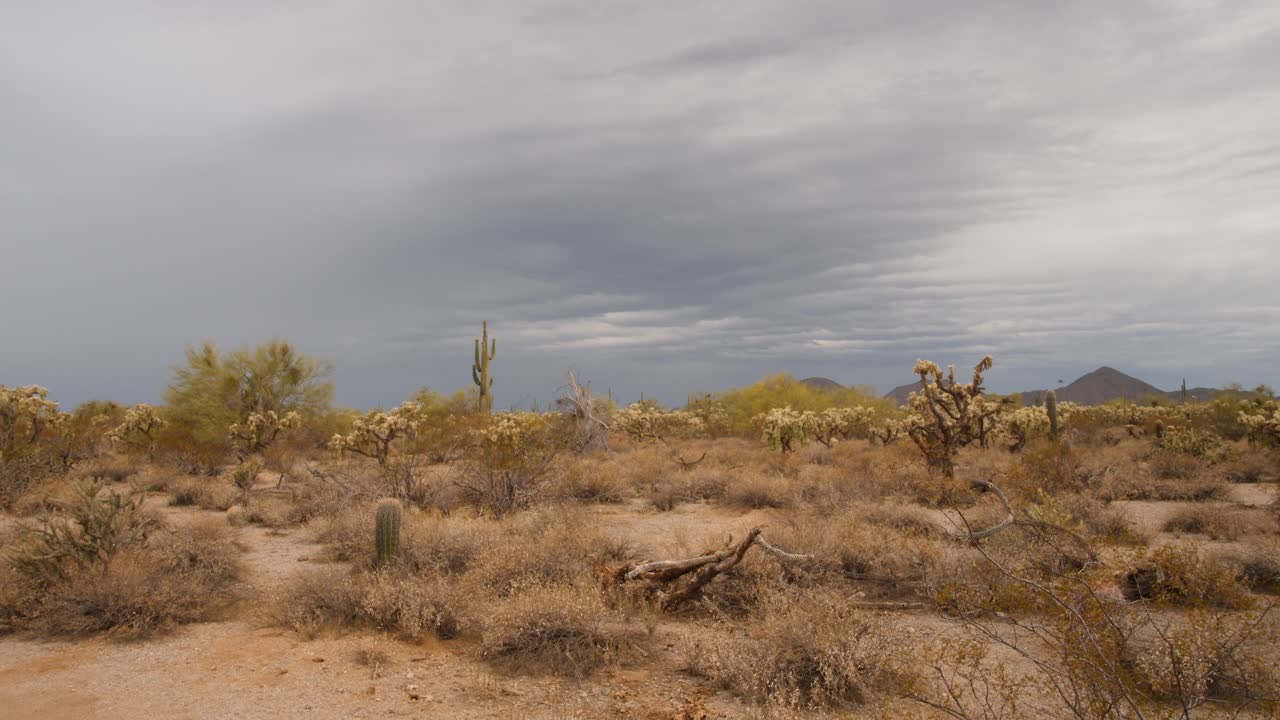 tormentas del desierto sobre mesa arizona