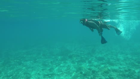 Man-Underwater-Mask-and-Fins-Swims-inside-caribbean-Sea-Carries-Fishing-Nets-with-quiguas,-snail-and-oysters-get-on-boat