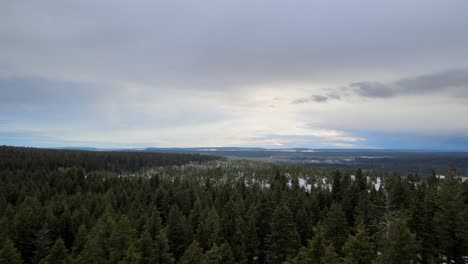 cariboo's spruce forests in winter: a breathtaking aerial view on a cloudy winter day, british columbia, canada