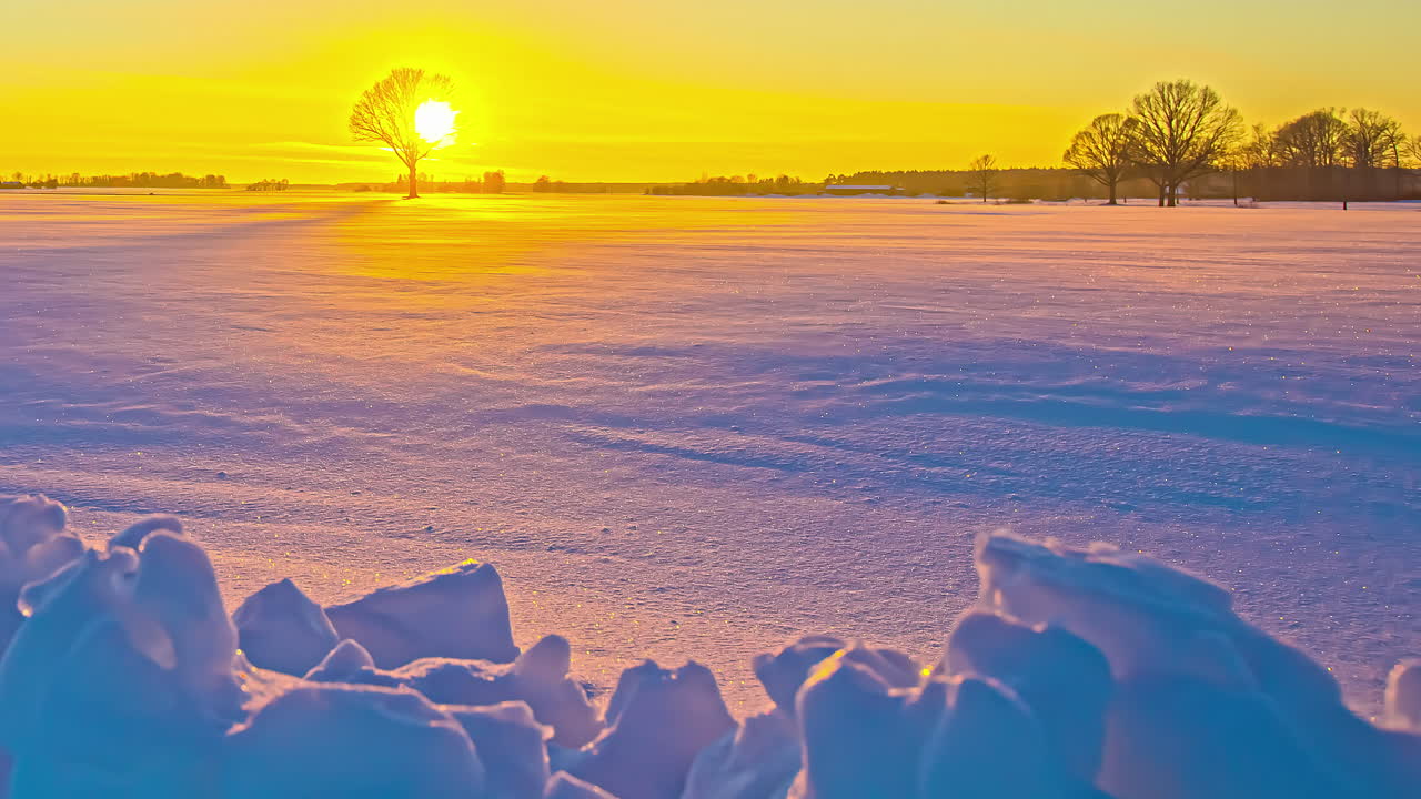 잎이 없는 나무 거리와 배경에 황금빛 일몰이 있는 그림 같은 겨울 풍경 - 눈 표면 필드에 반사되는 햇빛 - 저속 촬영