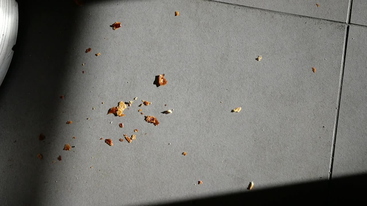 Bread Crumbs on a Tiled Floor