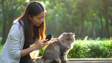 a peaceful moment in nature: a young woman grooms her long-haired cat under the warm glow of an outdoor setting, capturing the bond between human and pet