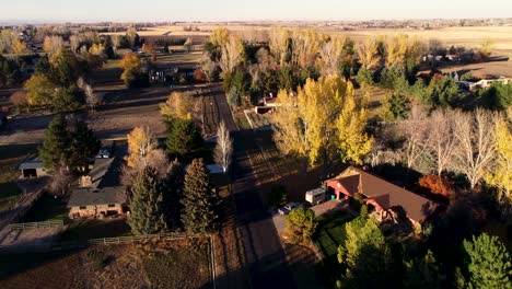 vuelo sobre un camino rural que muestra hermosos árboles de otoño durante la puesta de sol cerca de fort collins colorado