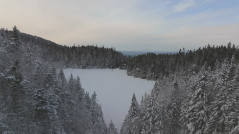 Vuelo-Hacia-El-Lago-Helado-Rodeado-De-árboles-Coníferos-Durante-El-Invierno