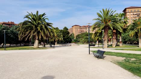 city park with palm trees on a sunny day in zaragoza, spain